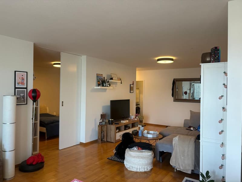 2 ½ Zimmer-Wohnung, 8820 Wädenswil (1)
