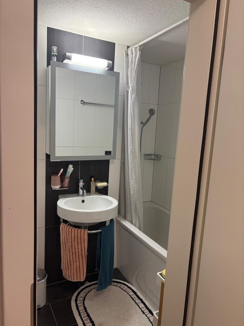 2 ½ Zimmer-Wohnung, 8820 Wädenswil (6)
