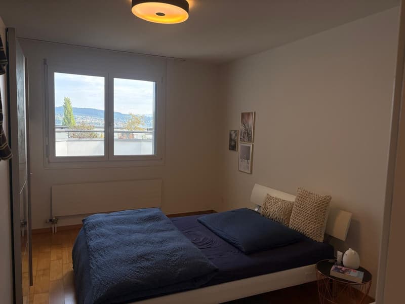 2 ½ Zimmer-Wohnung, 8820 Wädenswil (9)