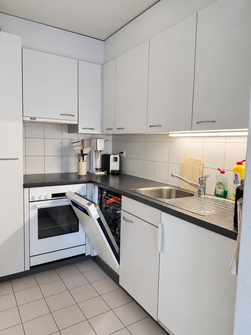 schöne 2-Zimmerwohnung zu vermieten an TOP-Lage (Stadt Luzern) (5)