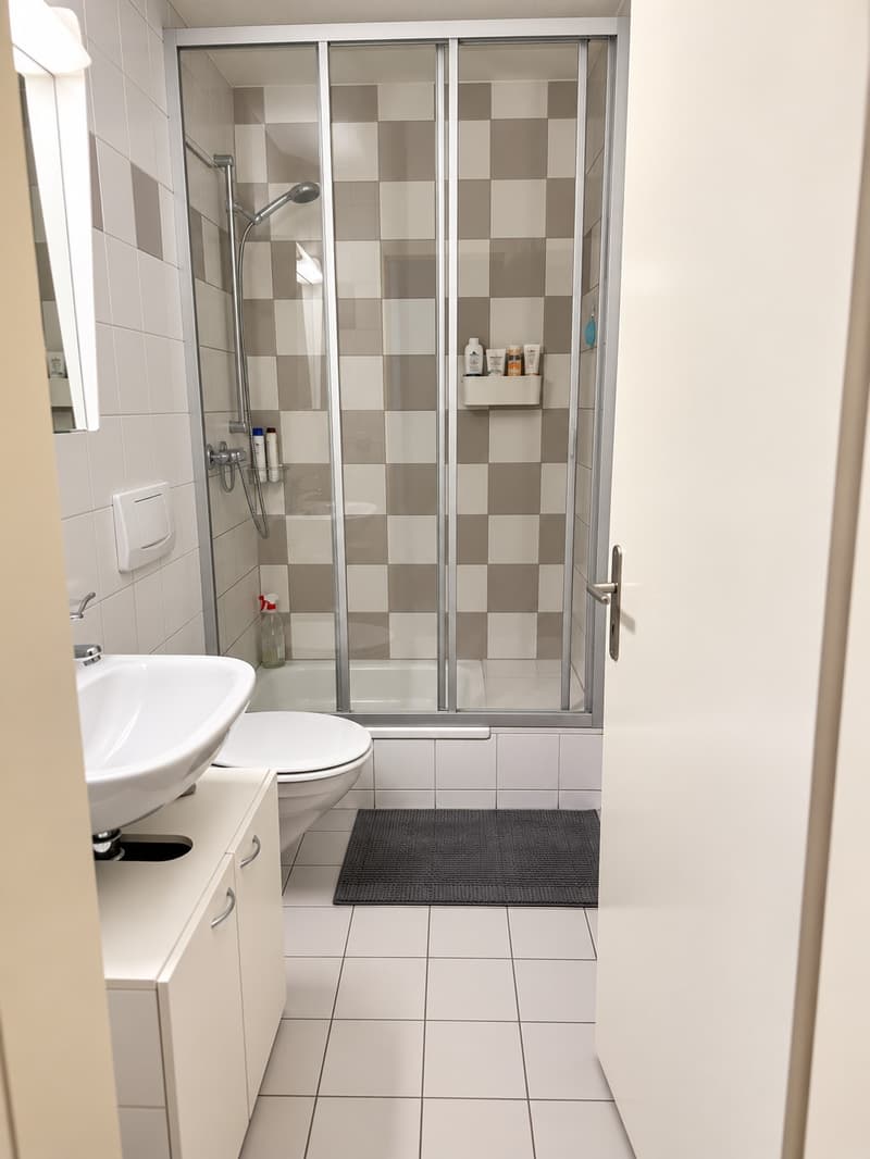 schöne 2-Zimmerwohnung zu vermieten an TOP-Lage (Stadt Luzern) (6)