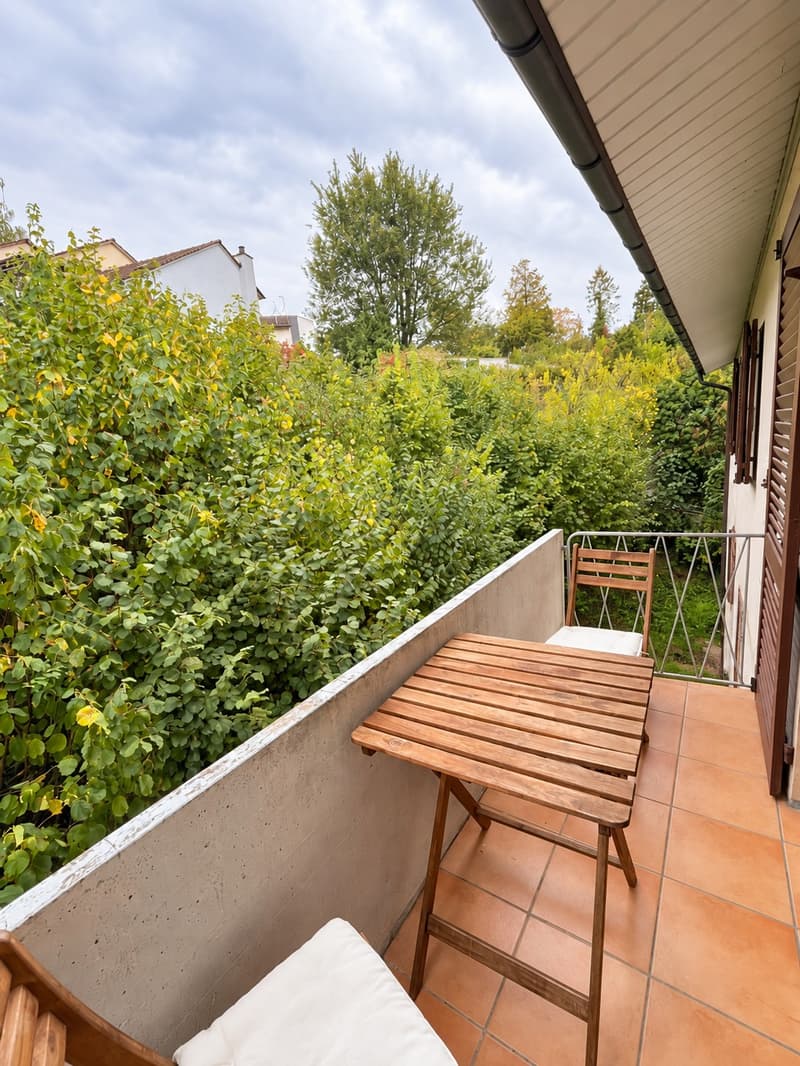 WG-Zimmer / zukünftige Wohnungsübernahme nahe am Rhein in Schaffhausen | CHF 700 inkl. Nebenkosten (4)