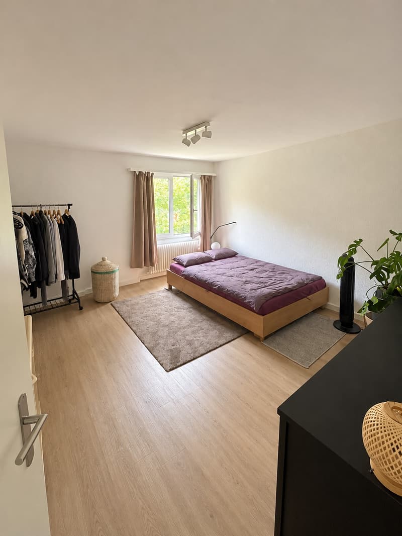 WG-Zimmer / zukünftige Wohnungsübernahme nahe am Rhein in Schaffhausen | CHF 700 inkl. Nebenkosten (7)
