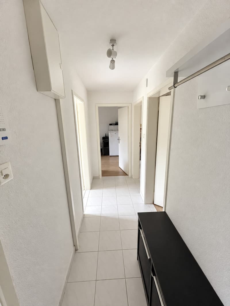 WG-Zimmer / zukünftige Wohnungsübernahme nahe am Rhein in Schaffhausen | CHF 700 inkl. Nebenkosten (9)