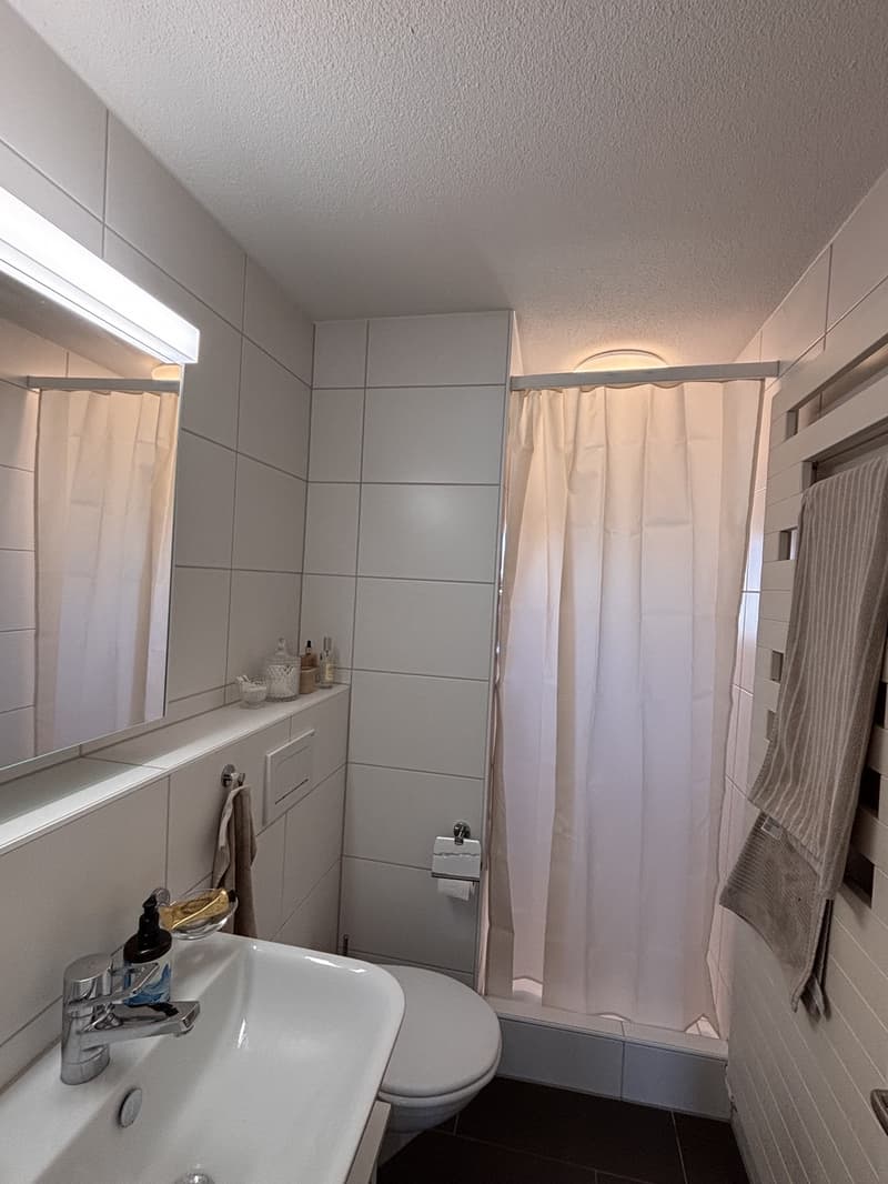 Zimmer in heller, gemütlicher Wohnung in Zürich (5)