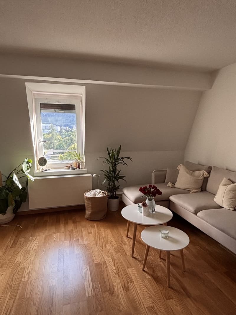 Zimmer in heller, gemütlicher Wohnung in Zürich (1)