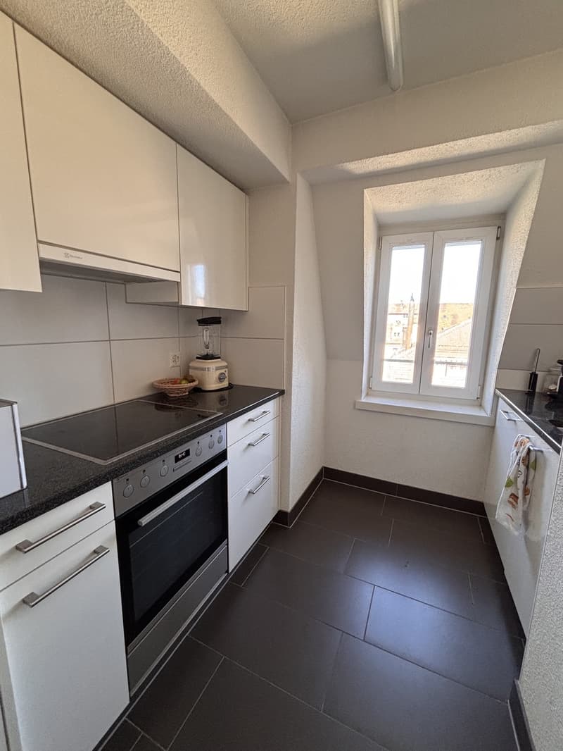 Zimmer in heller, gemütlicher Wohnung in Zürich (2)