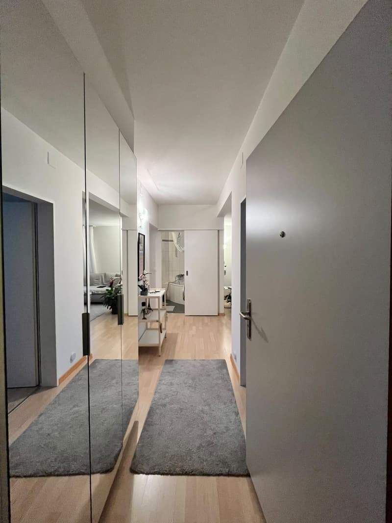 Moderne, zentral gelegene 3-Zimmerwohnung Nähe Farbhof. Zürich (8)