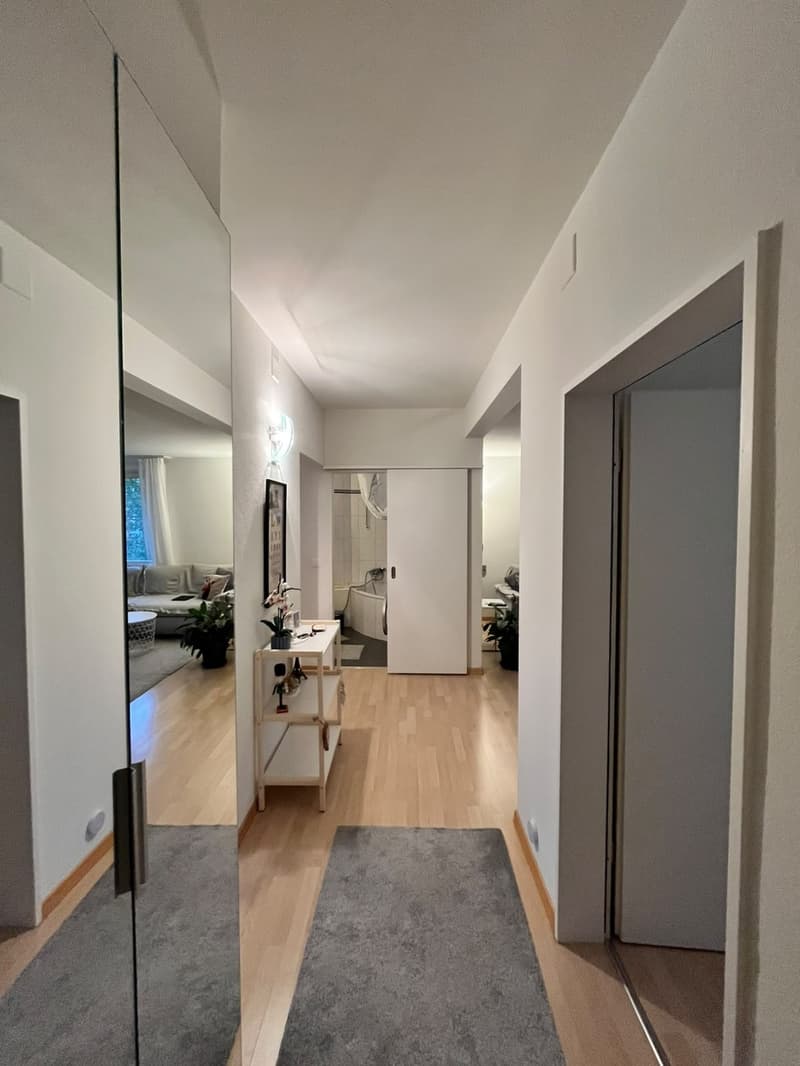 Moderne, zentral gelegene 3-Zimmerwohnung Nähe Farbhof. Zürich (7)