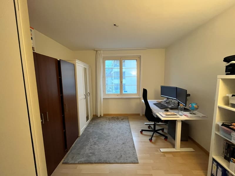 Moderne, zentral gelegene 3-Zimmerwohnung Nähe Farbhof. Zürich (9)