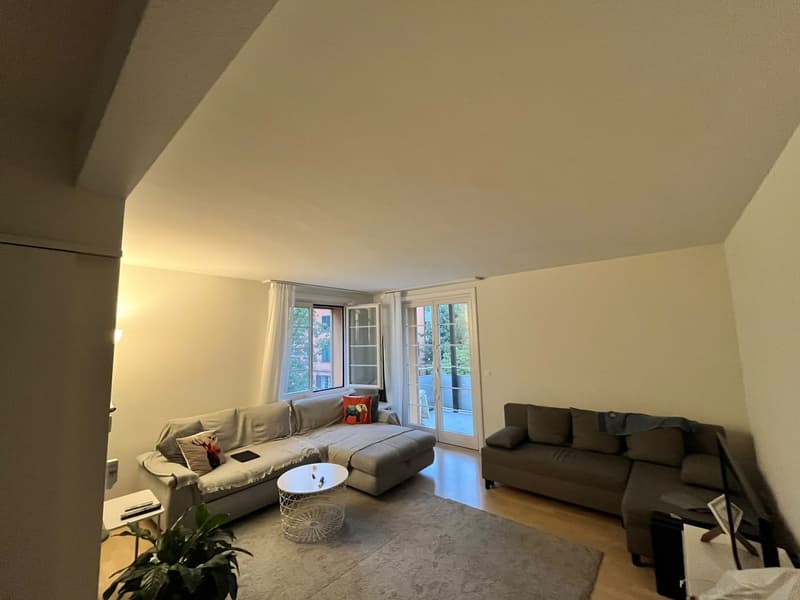 Moderne, zentral gelegene 3-Zimmerwohnung Nähe Farbhof. Zürich (4)