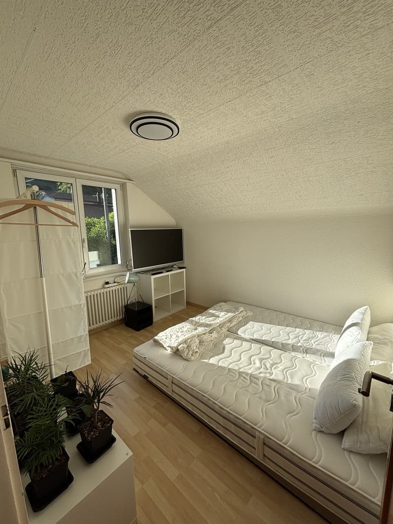 WG Zimmer in einem Haus (2)