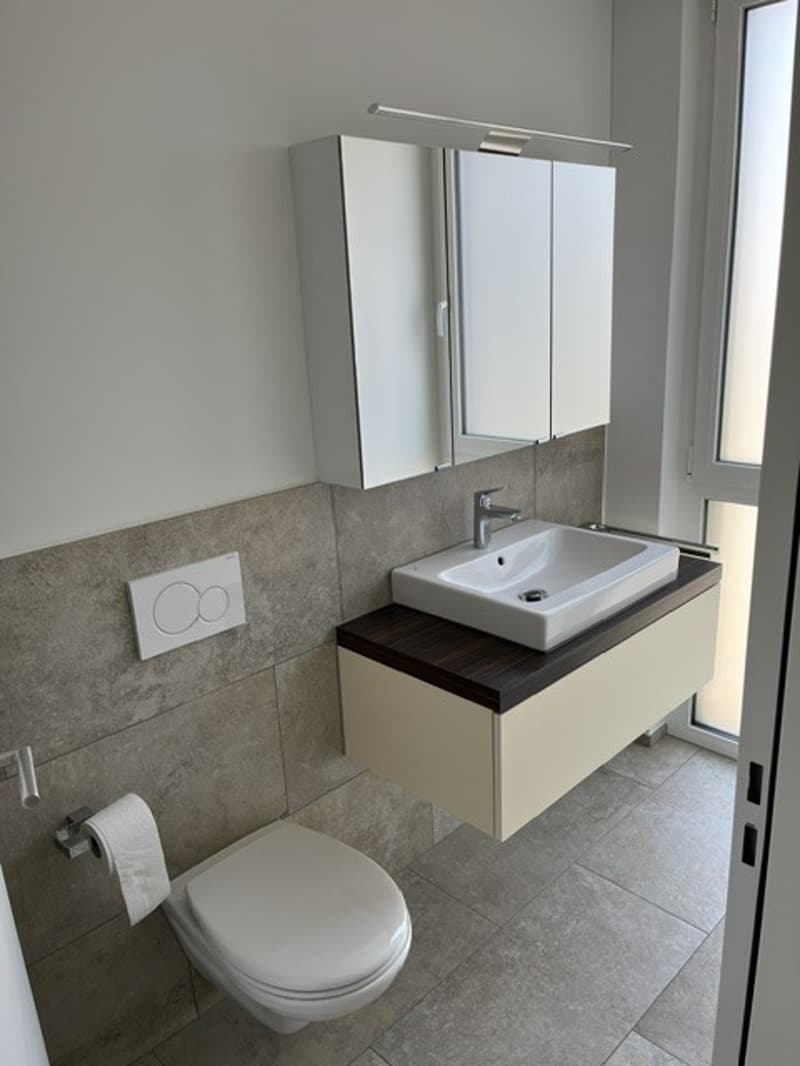 Sagenhafte Wohnung in Pfaffnau (9)