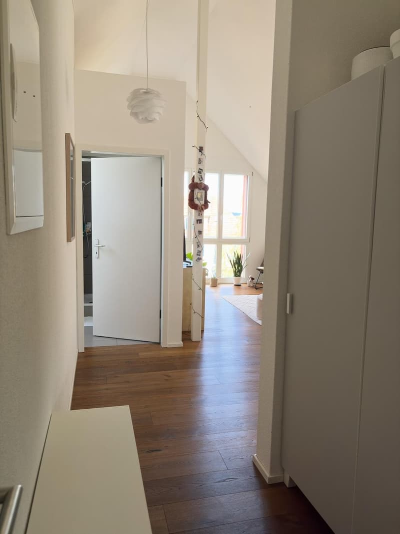 Möblierte, helle 3.5-Zimmer-Dachwohnung in Zürich zur befristeten Untermiete, Dezember 2026 bis September 2027 (7)