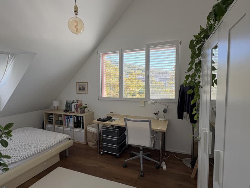 Möblierte, helle 3.5-Zimmer-Dachwohnung in Zürich zur befristeten Untermiete, Dezember 2026 bis September 2027 (5)