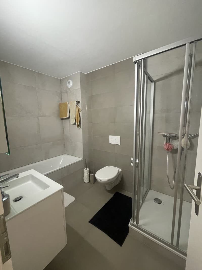 WG-Zimmer in Fribourg (7)