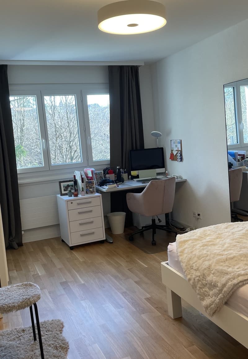 WG-Zimmer in Fribourg (3)
