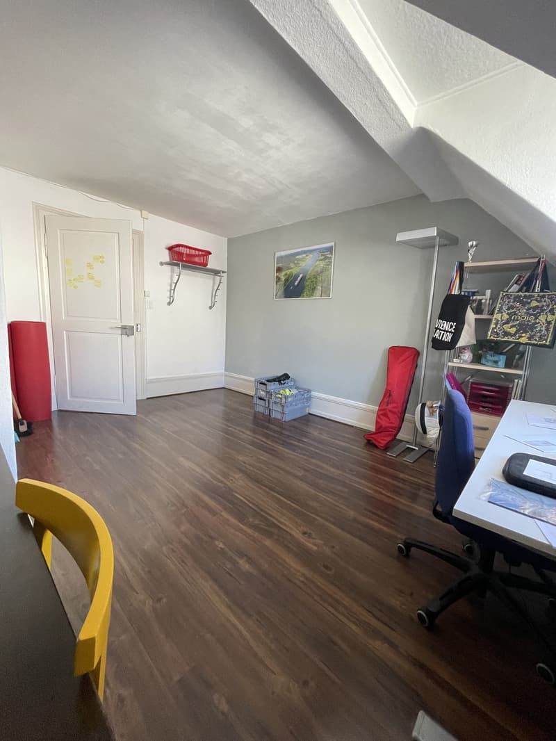 Möblierte 3-Zimmer-Altbauwohnung beim Zürich HB (3)