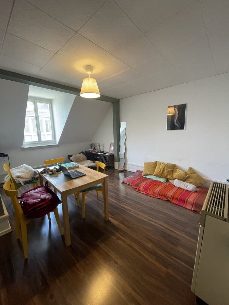Möblierte 3-Zimmer-Altbauwohnung beim Zürich HB (2)