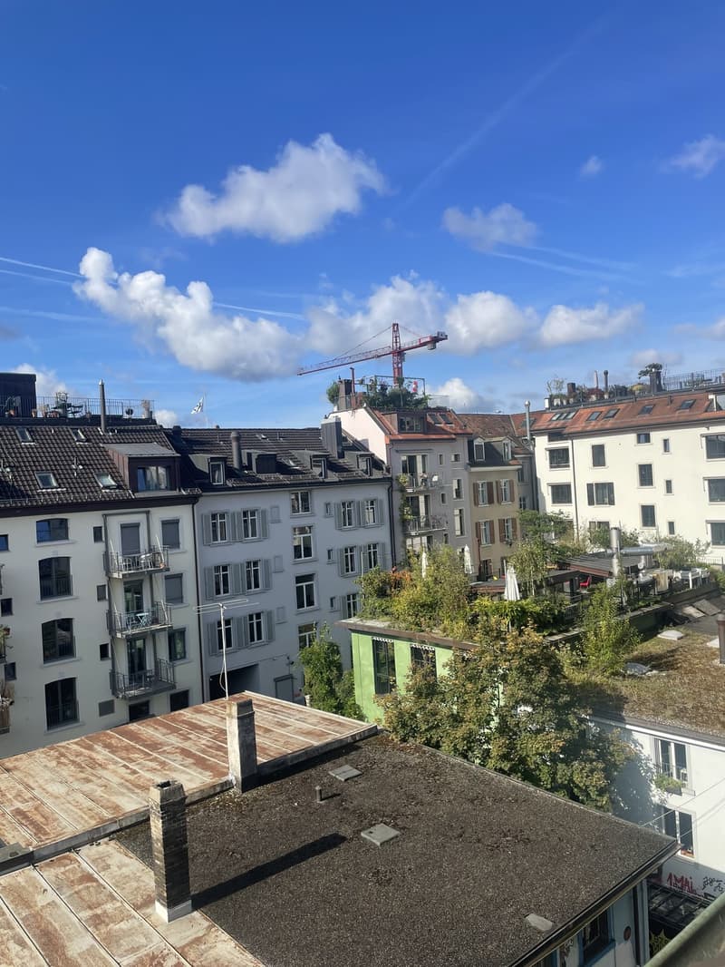 Möblierte 3-Zimmer-Altbauwohnung beim Zürich HB (7)
