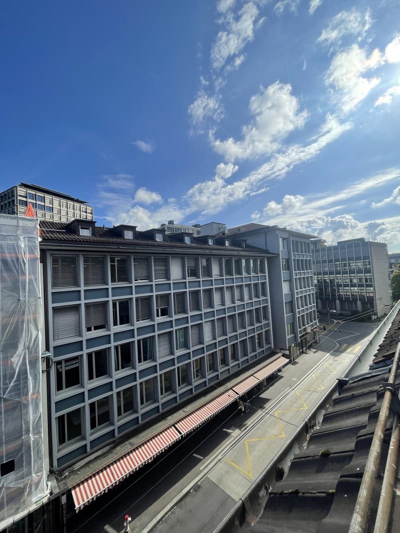 Möblierte 3-Zimmer-Altbauwohnung beim Zürich HB (8)