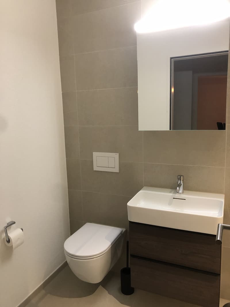 Moderne 2.5-Zimmer-Wohnung direkt beim Bahnhof Horgen | 3 Monate möbliert (7)