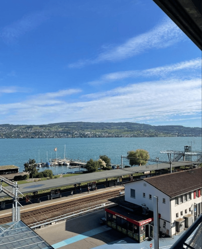 Moderne 2.5-Zimmer-Wohnung direkt beim Bahnhof Horgen | 3 Monate möbliert (4)