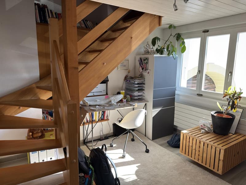 Charmant 2.5 pièces en duplex, calme absolu, grande terrasse (2)