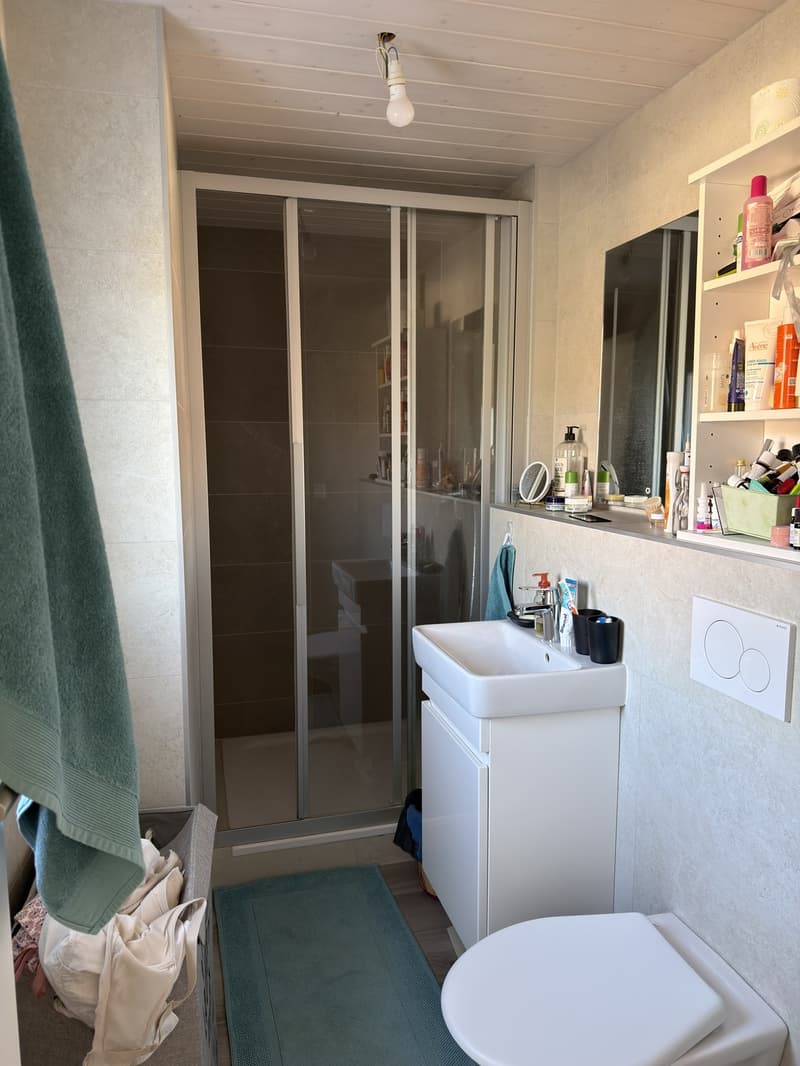 Charmant 2.5 pièces en duplex, calme absolu, grande terrasse (1)
