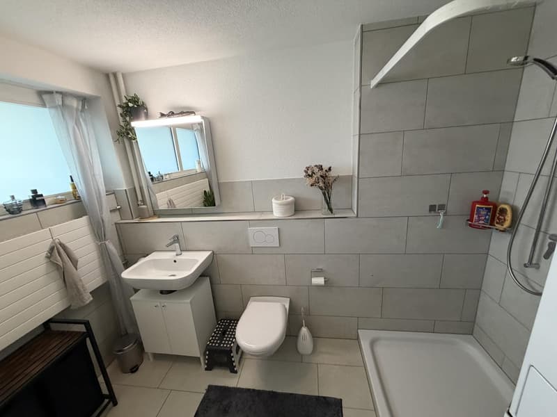 Grosszügige Stadtwohnung mit 30 m² Terrasse  Nachmieter gesucht (9)