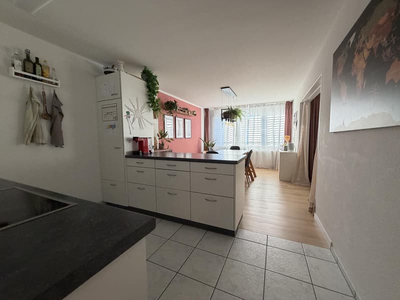 Grosszügige Stadtwohnung mit 30 m² Terrasse  Nachmieter gesucht (4)