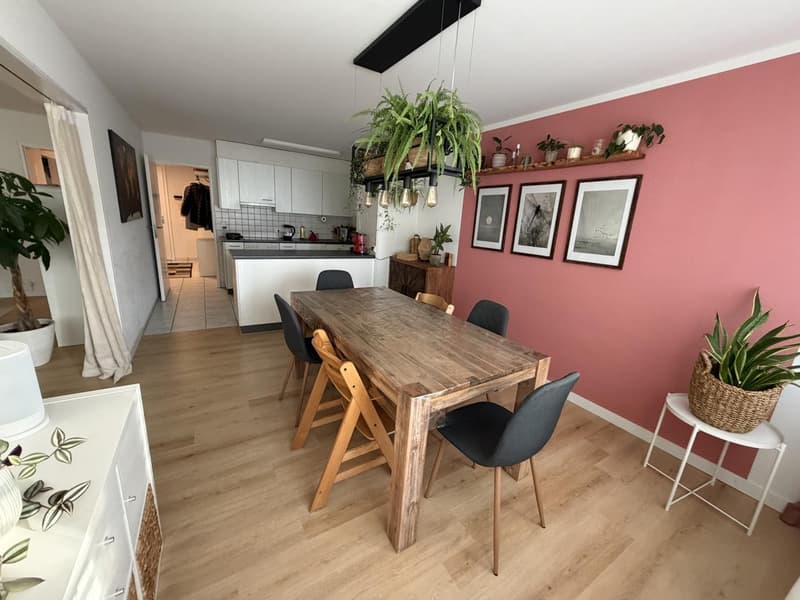Grosszügige Stadtwohnung mit 30 m² Terrasse  Nachmieter gesucht (11)