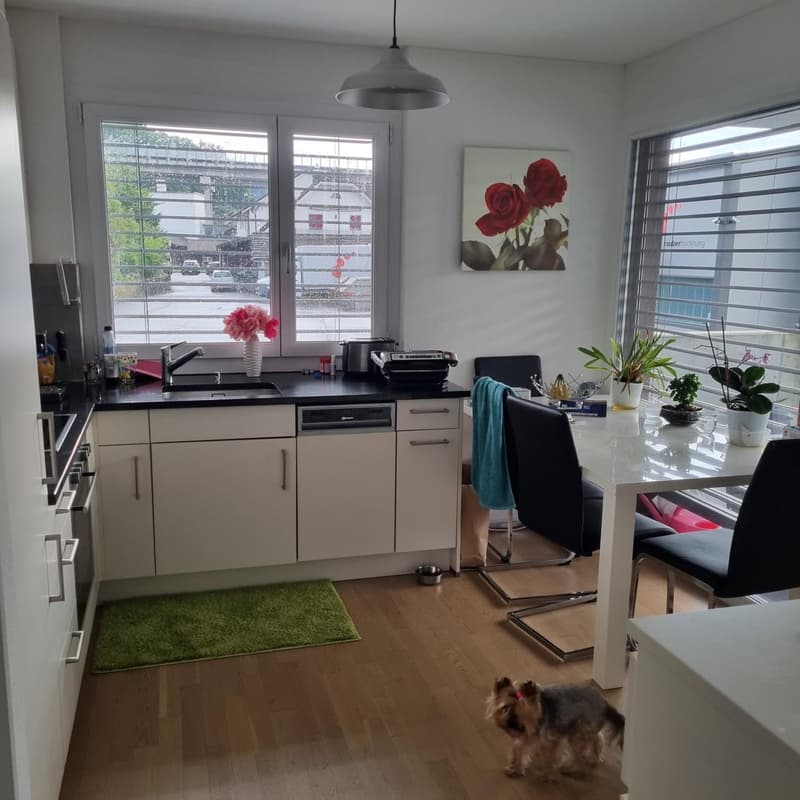 Nachmieter gesucht 2.5-Zimmer-Wohnung Niederlenz / Lenzburg - ab 01.11.2026 (1)