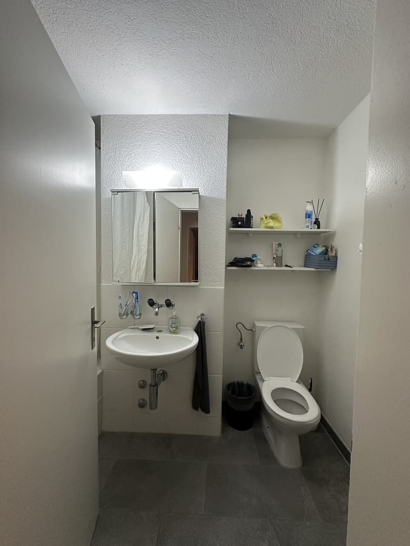 3 rooms apartment, 8406 Winterthur (2)