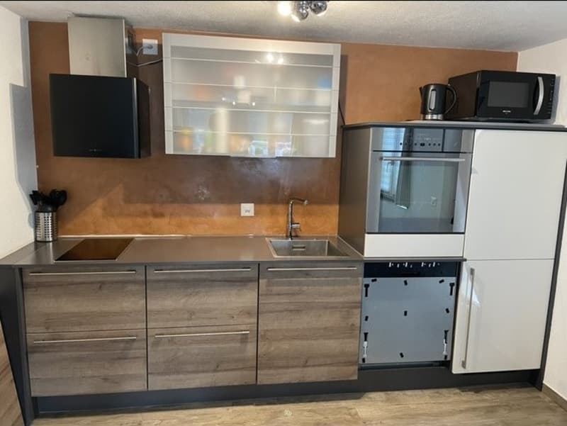 2 Zimmer Wohnung in Naters (2)