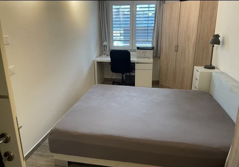 2 Zimmer Wohnung in Naters (3)
