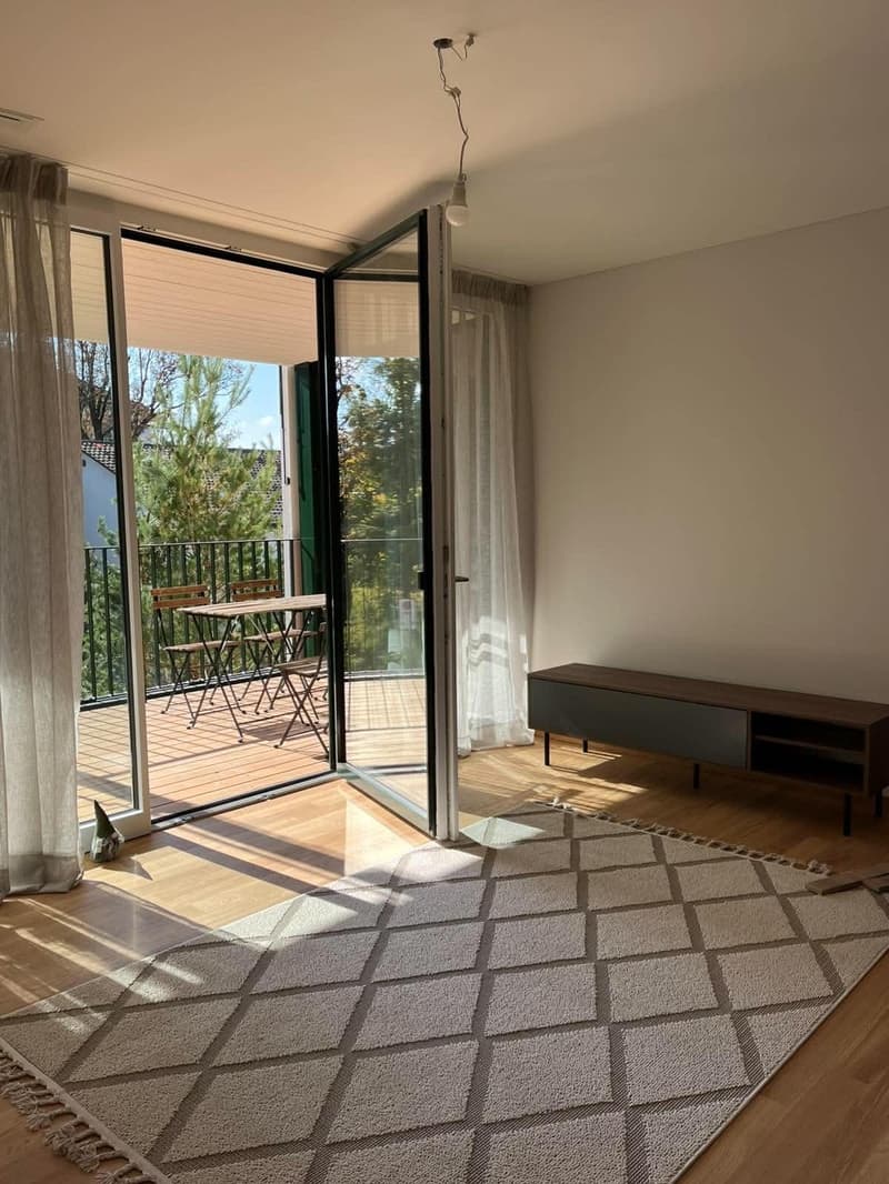 3.5-Zimmer-Wohnung in Seebach (1)