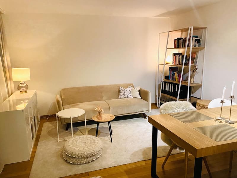 Zentral & ruhig - 2-Zimmer-Whg in der Altstadt Luzern (2)