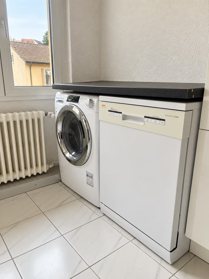 WG Zimmer, 8203 Schaffhausen (7)