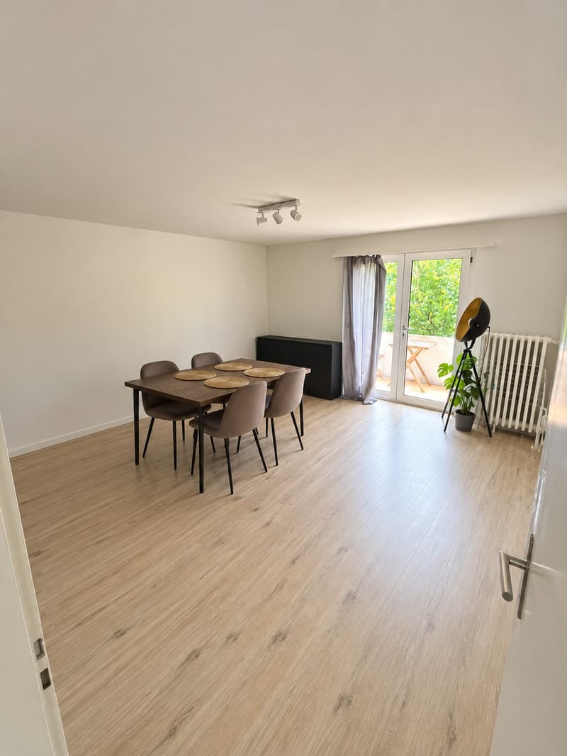 WG Zimmer, 8203 Schaffhausen (1)