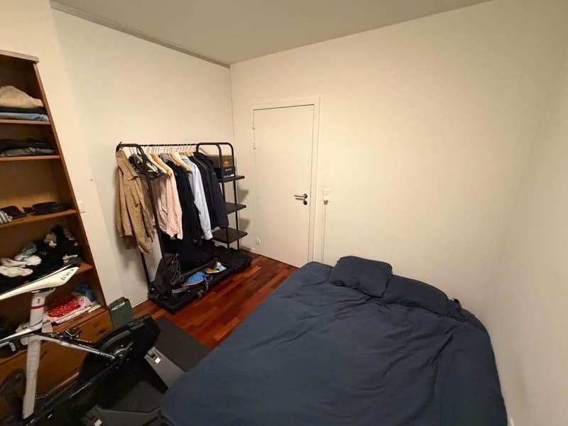 Cosy Room in Zurich City Centre (Wiedikon) (8)