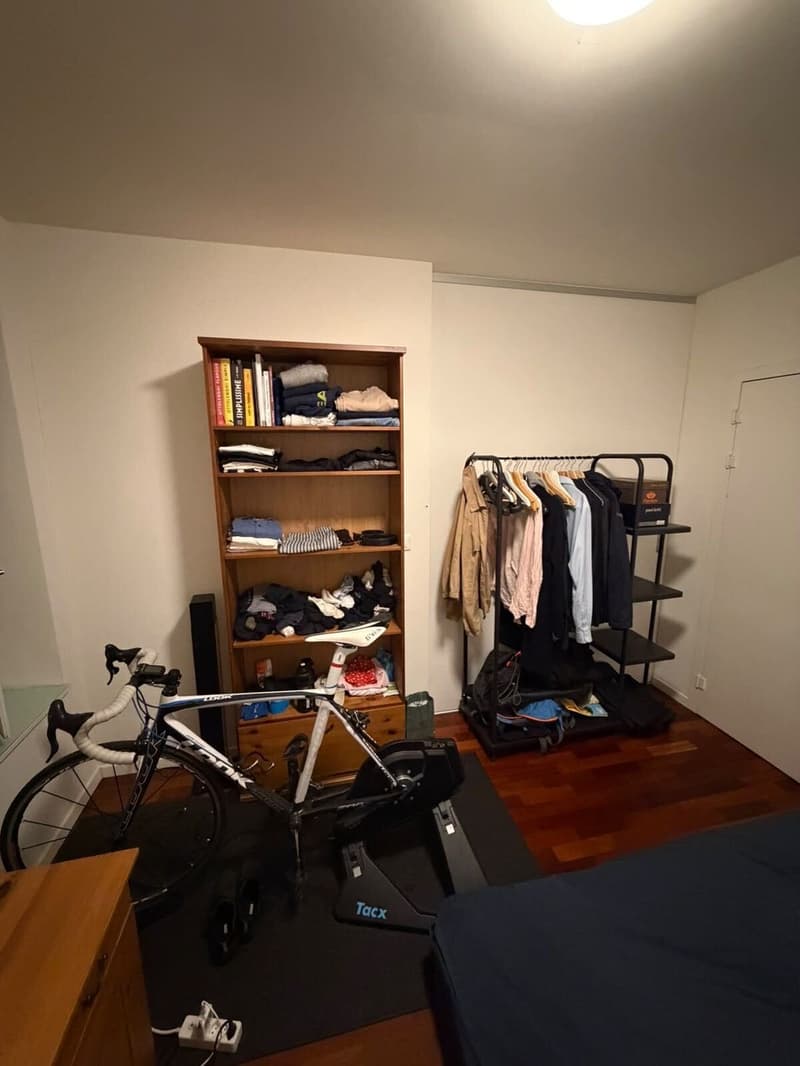 Cosy Room in Zurich City Centre (Wiedikon) (7)