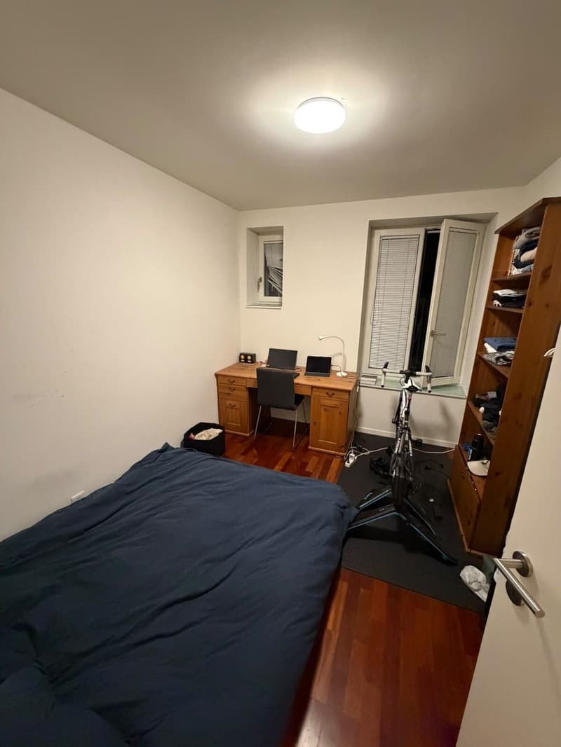 Cosy Room in Zurich City Centre (Wiedikon) (4)