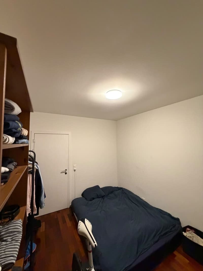 Cosy Room in Zurich City Centre (Wiedikon) (6)