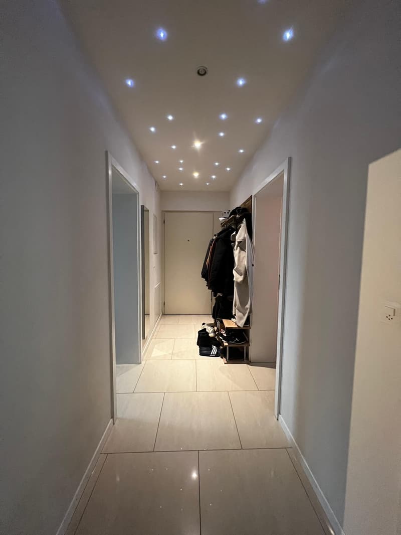 Cosy Room in Zurich City Centre (Wiedikon) (10)
