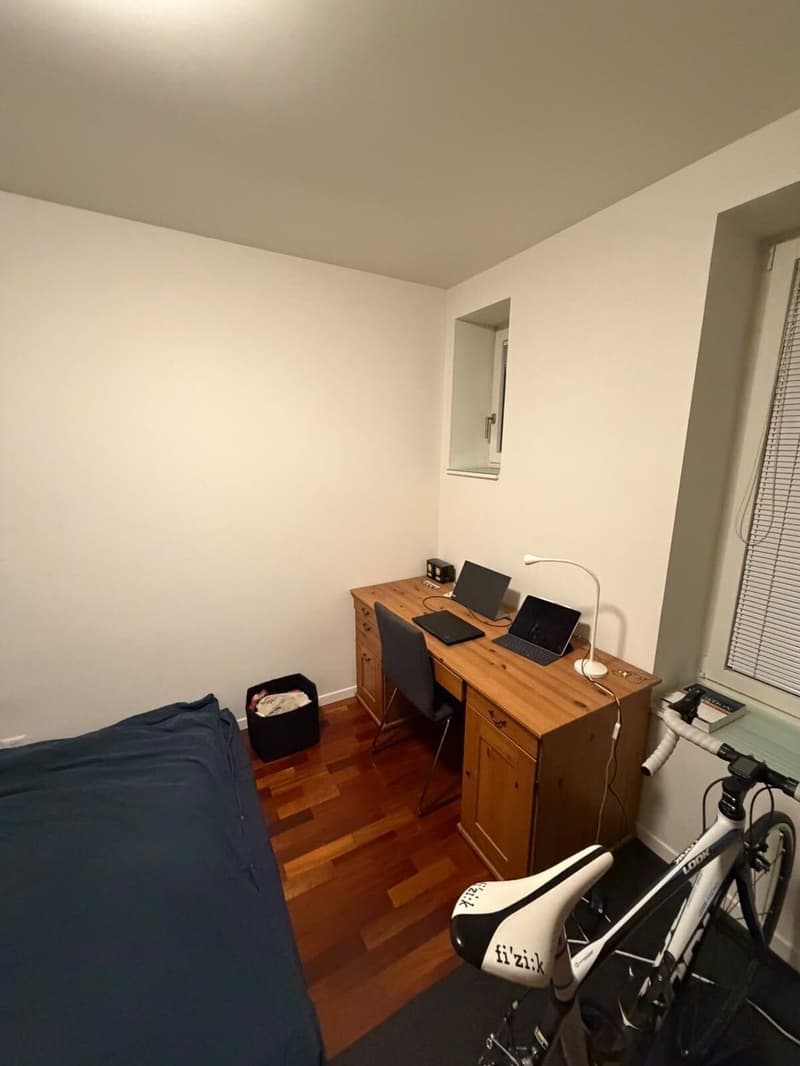 Cosy Room in Zurich City Centre (Wiedikon) (5)