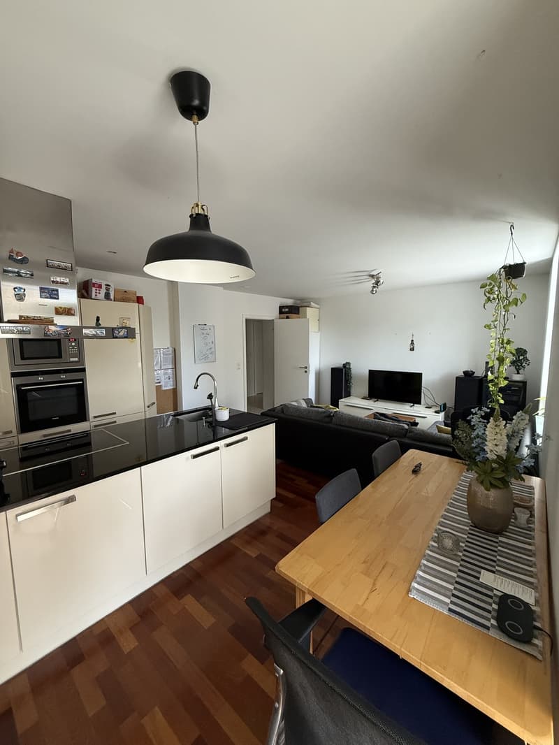 Cosy Room in Zurich City Centre (Wiedikon) (2)
