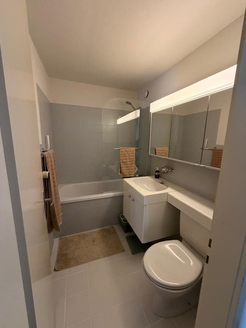 Subrenting beautiful apartment in Seefeld (5)