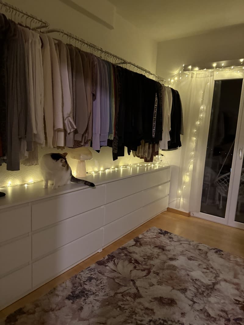 4 Zimmer Dachgeschoss Wohnung (4)