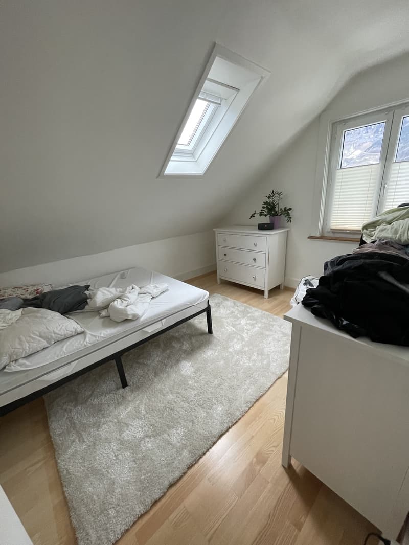4 Zimmer Dachgeschoss Wohnung (6)
